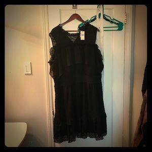 Lane Bryant Dress